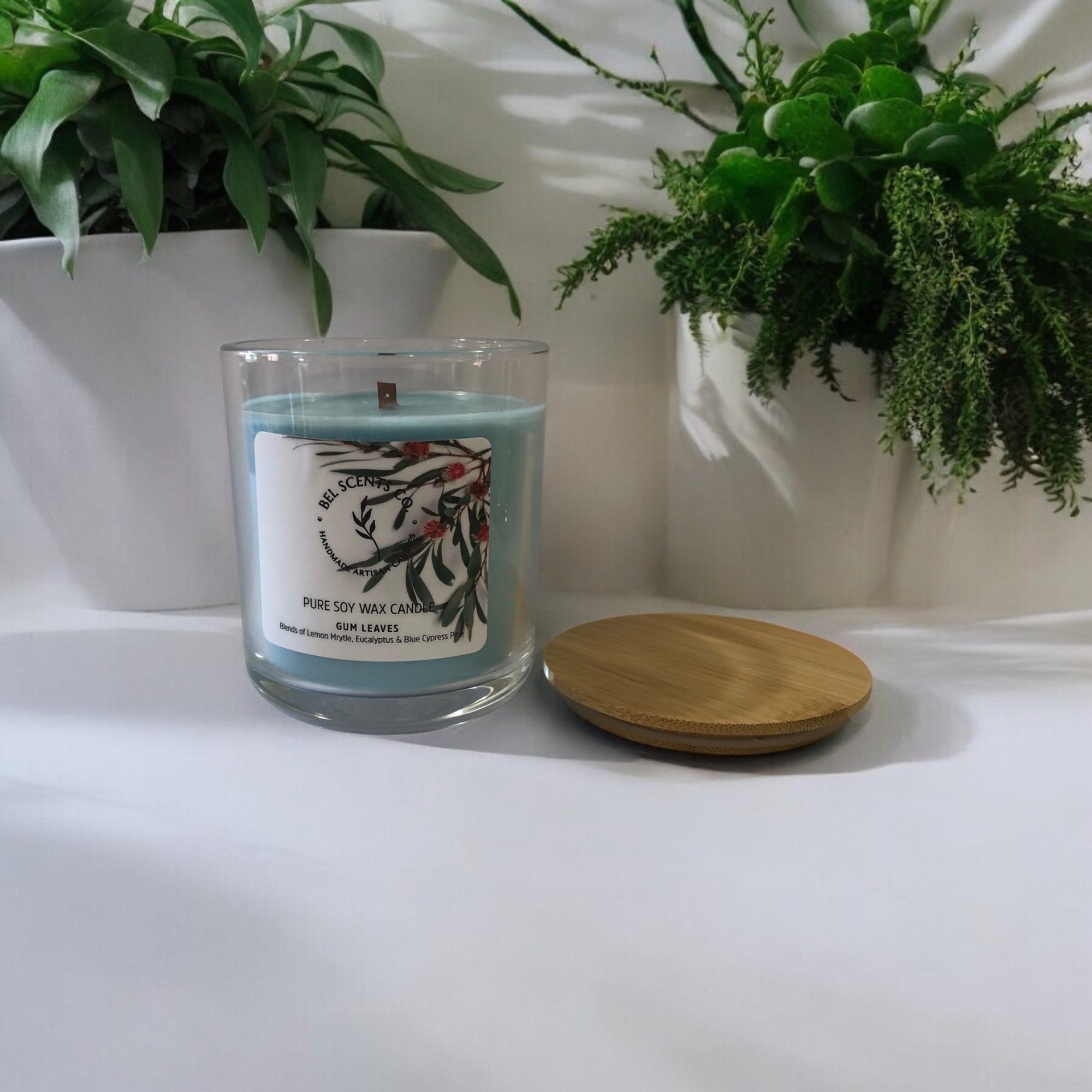 ustralian_Scented_Soy_Candle_with_Pure_Essential_Oils_Aromatherapy_Candle._Display_on_white_benchtop_and_background_amongst_home_decor_pot_plants